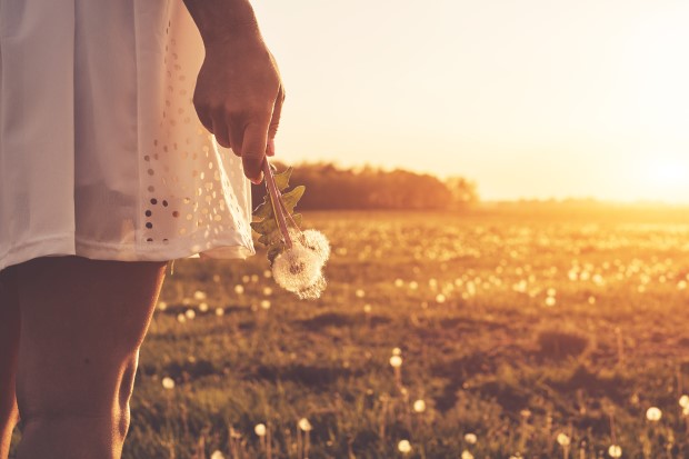 When Logic and Divine Guidance Don't Play Nice by Carolyn McGee | #AspireMag 