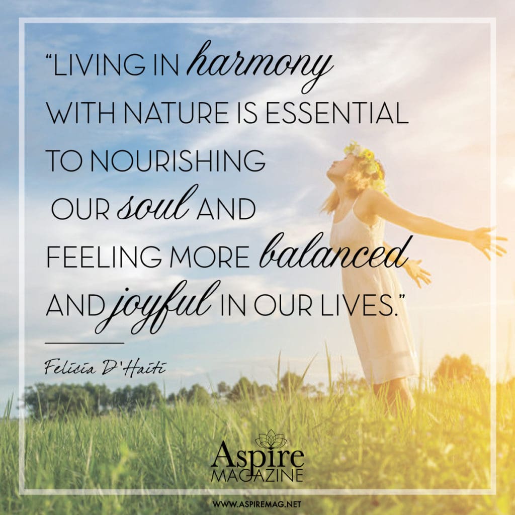 living-in-harmony-with-nature-is-essential-to-nourishing-our-soul-and