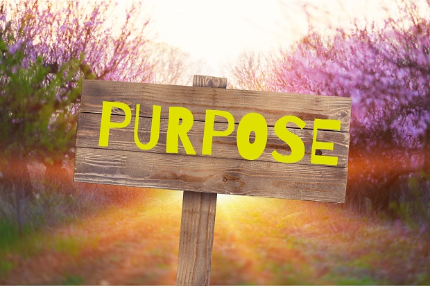 Midlife Purpose Search: You Are Not Alone by Kelly McGrath Martinsen | #AspireMag