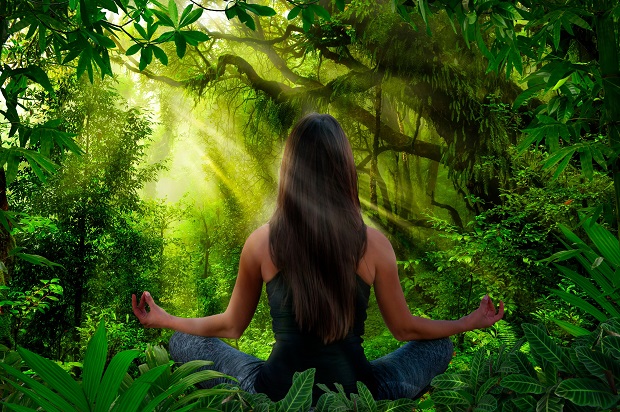 Wild Yoga Practices for Receiving the Love of Trees by Rebecca Wildbear | #AspireMag 