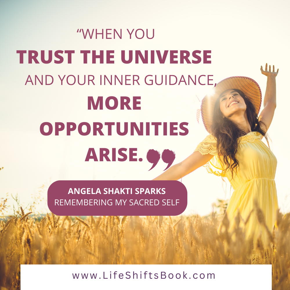Life Shifts Book |  Angela Shakti Sparks
