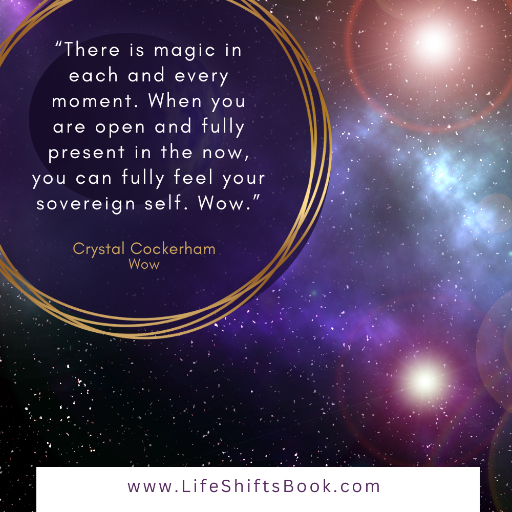 Life Shifts Book |  Crystal Cockerham