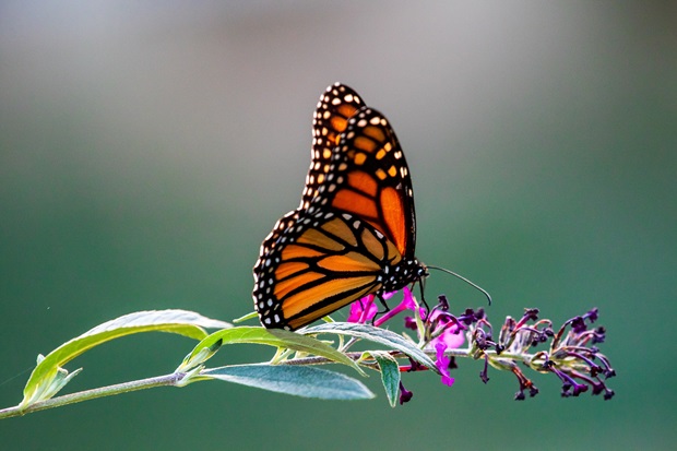 12 Ways to Create Happiness During a Life Transition by Amy Lindner-Lesser | #AspireMag 